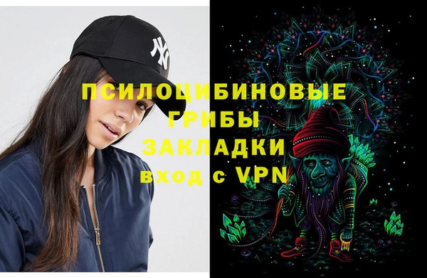 герыч Алексин